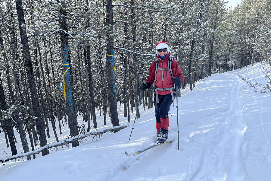 Colours in support of Ukraine?