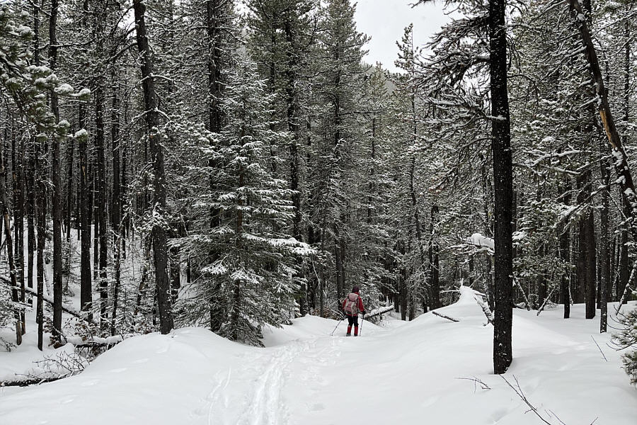 Always unnerving on skinny skis!