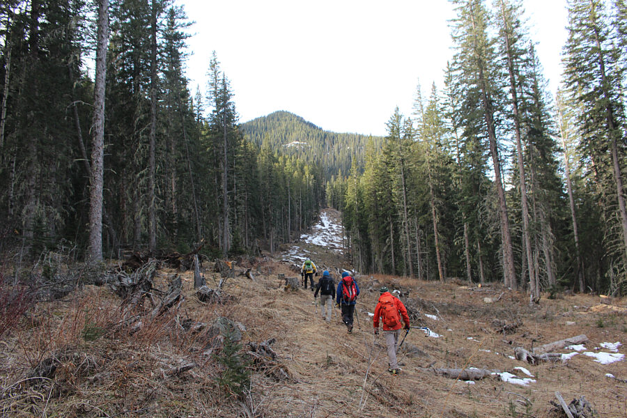 With a bit more snow, this would be a nice ski run!