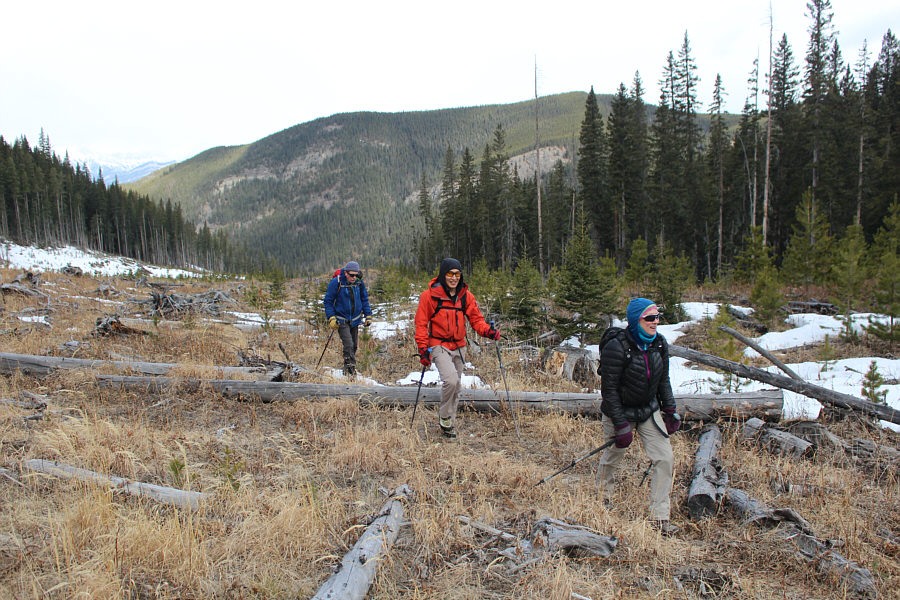 Looks like some happy hikers!