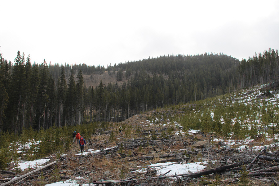 Get ready for a steep grunt!