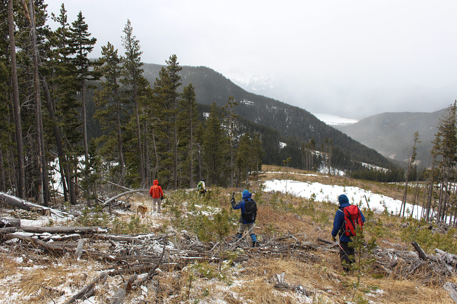 I guess the lake was still frozen!