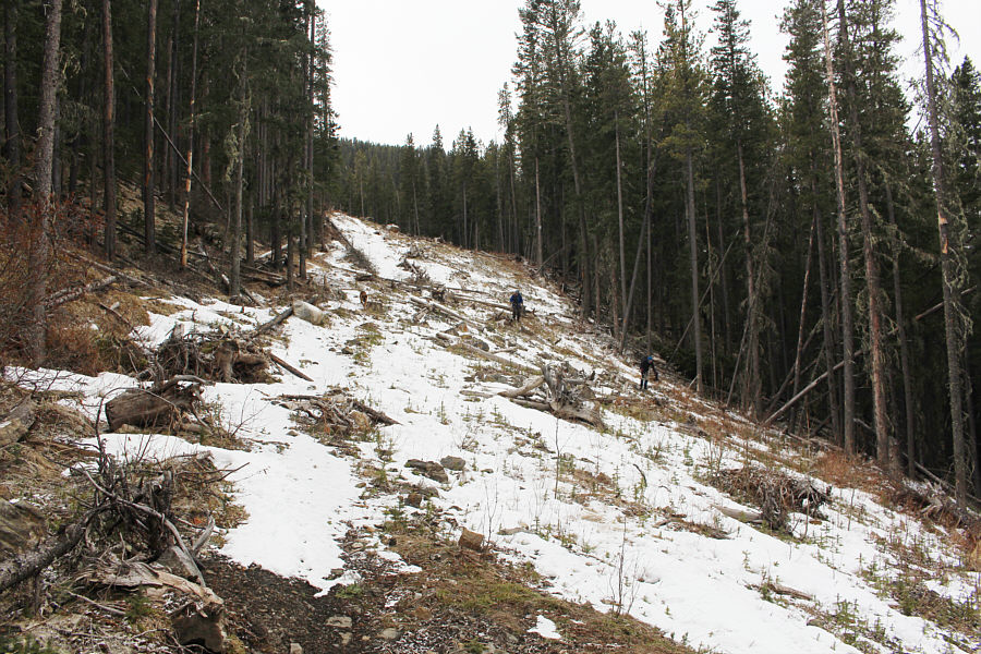 Ice cleats would definitely help...or rock skis!