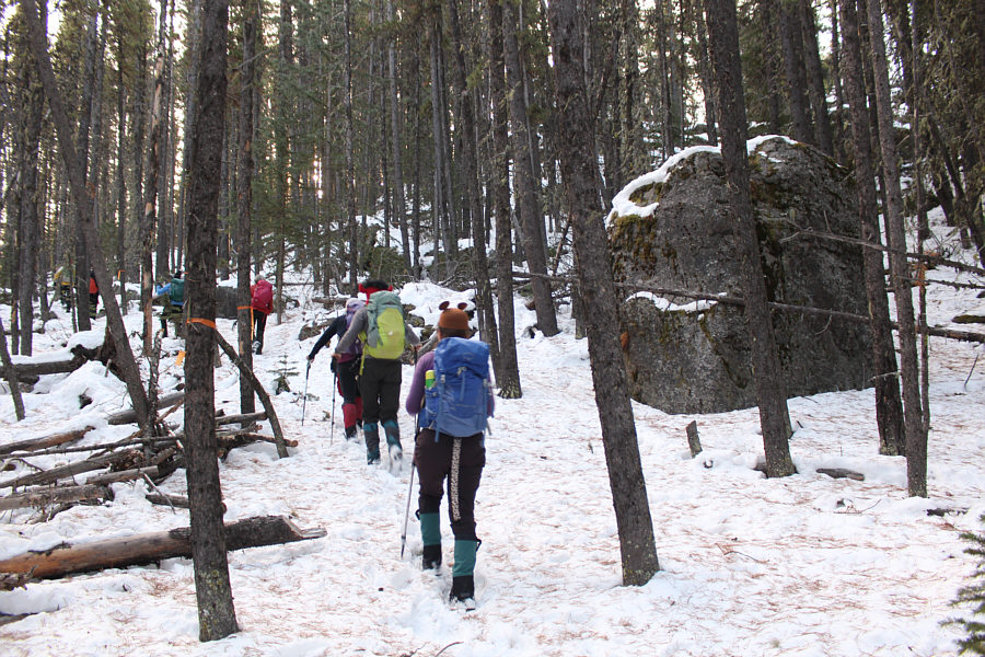 Maybe some ancient forgotten erratics?