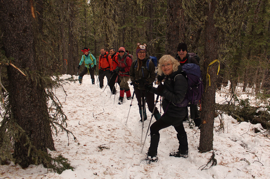 Hey, we're not bushwhacking, so that's something to be happy about!