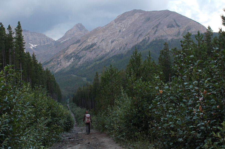 Lots of muddy sections on this road!