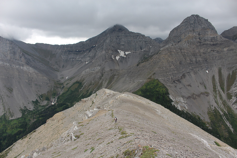 Do you think it will rain?