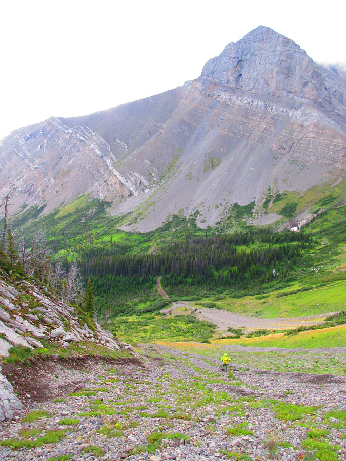 It's raining now for sure!