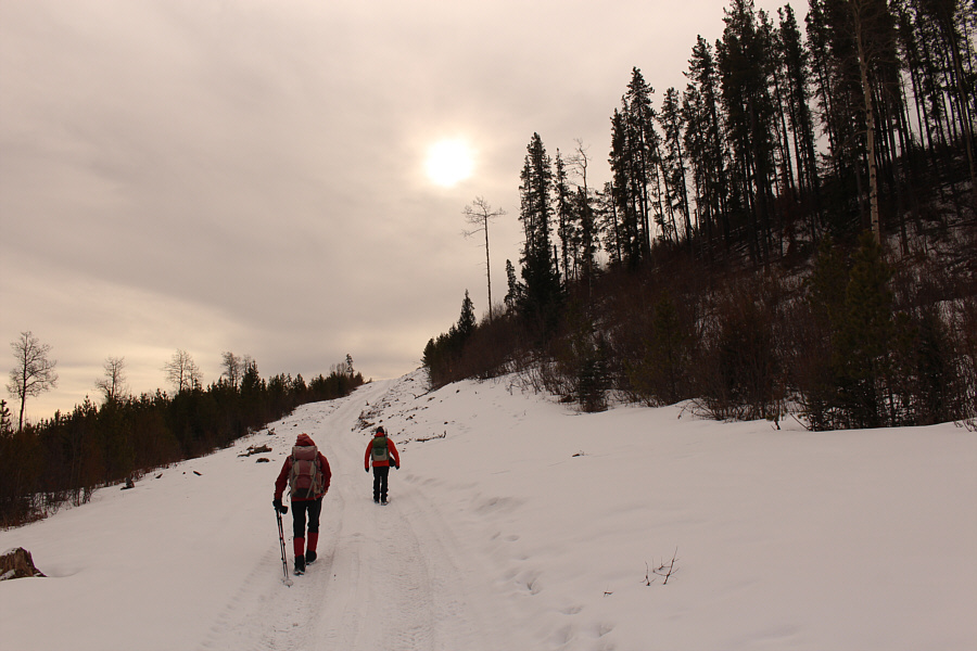 I wish I had brought skis!