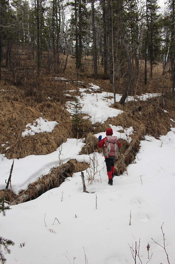 Some light bushwhacking here.