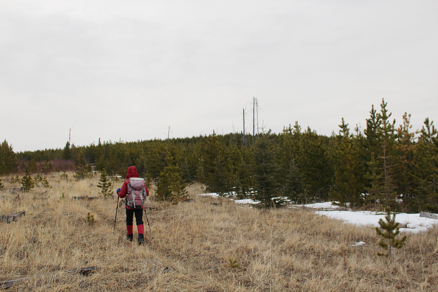 What were you expecting? The Matterhorn?