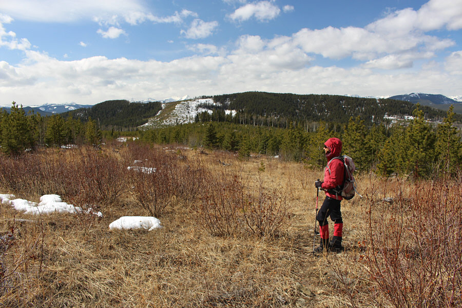 With more snow, that bare patch on McLean Hill might make a good ski run!