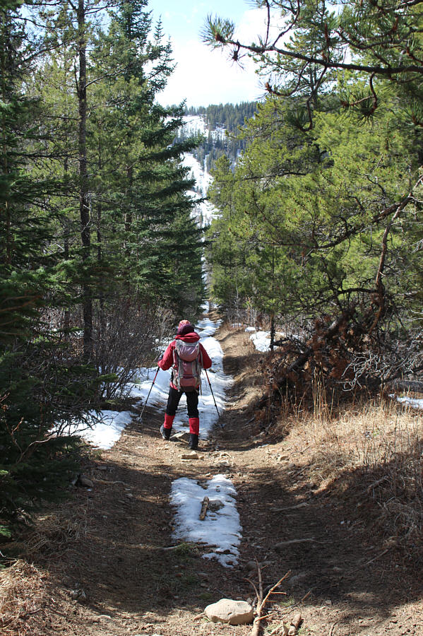 Quite steep in places but easy to follow with zero bushwhacking!