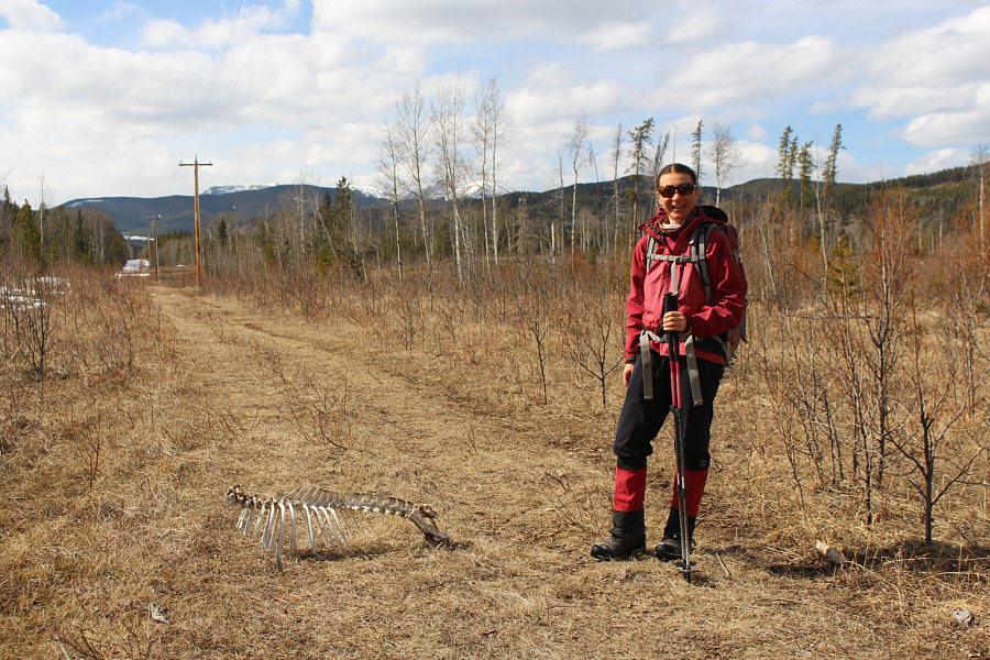 That reminds me...I miss Tony Roma's all-you-can-eat ribs!