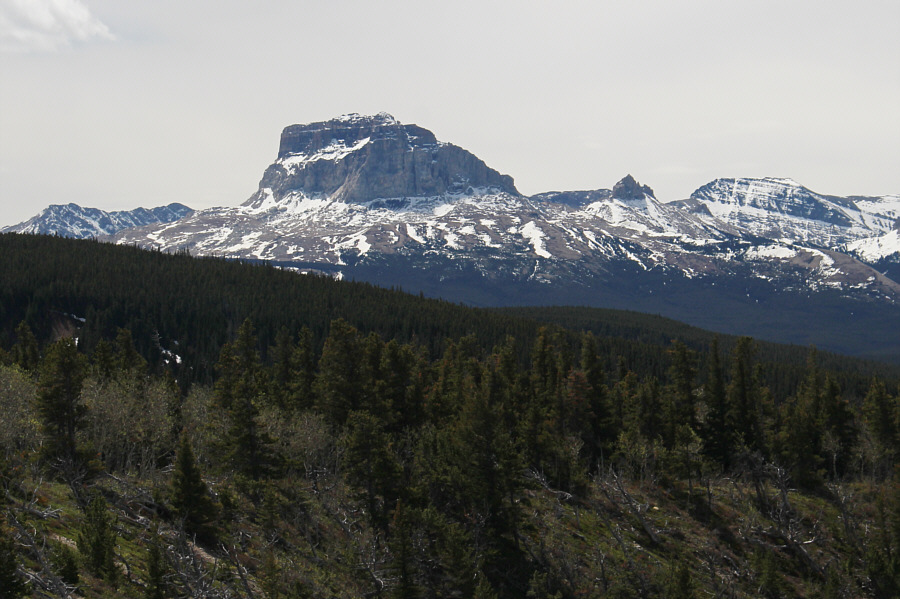 Feels like a lifetime ago when I climbed this...