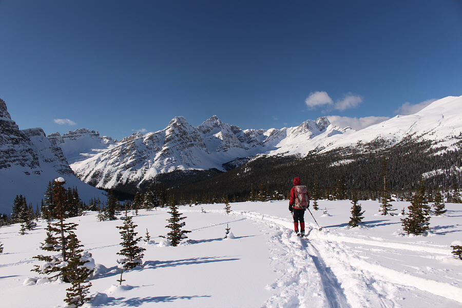 Seems a shame to leave so quickly...