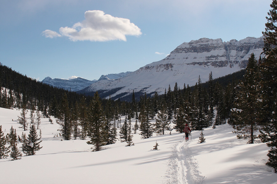 Lotsa annoying little uphill sections on the way out!