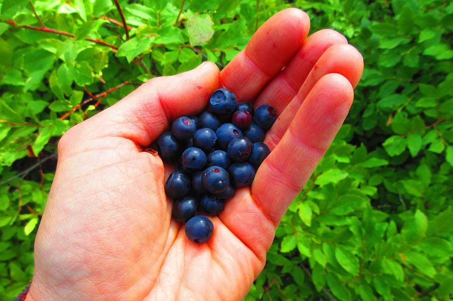 Okay, maybe this makes it worthwhile to take the alternate descent route...