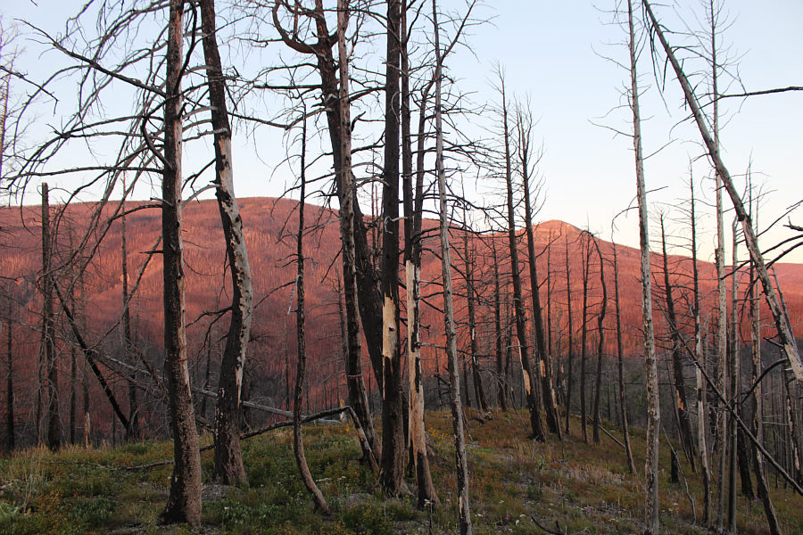 Looks like the mountain is on fire!