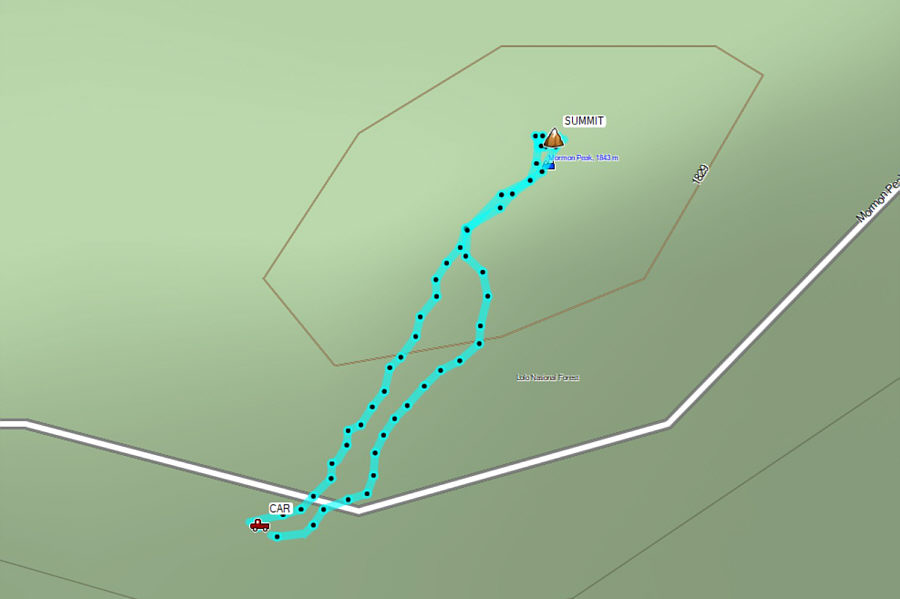 Might as well tag this summit if you're already in the area!