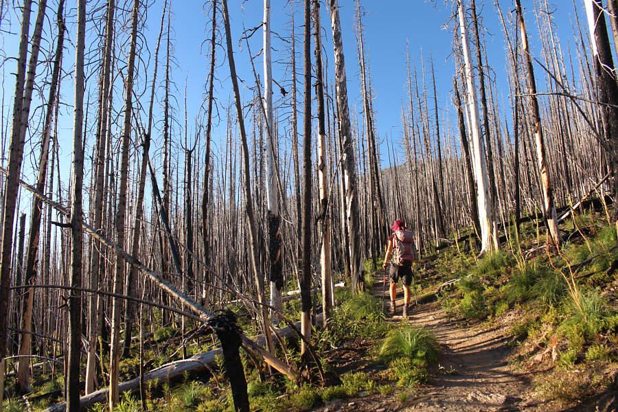 I saw the fires on my way home after watching the 2017 total solar eclipse.