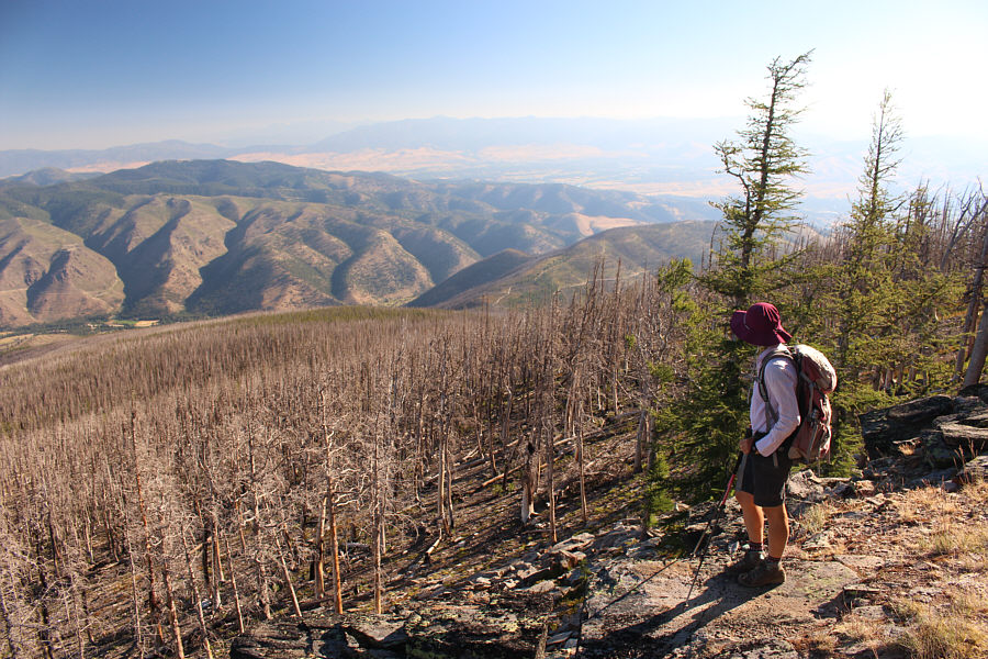 And Missoula is somewhere in the hazy valley.