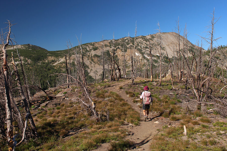 But first, we need to annoyingly lose some hard-won elevation...