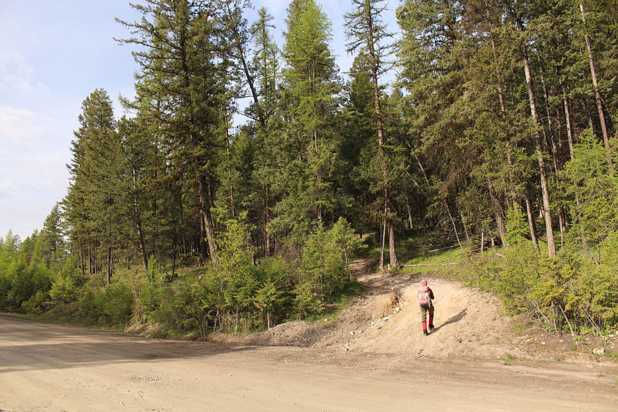 Another obvious starting point--how nice!