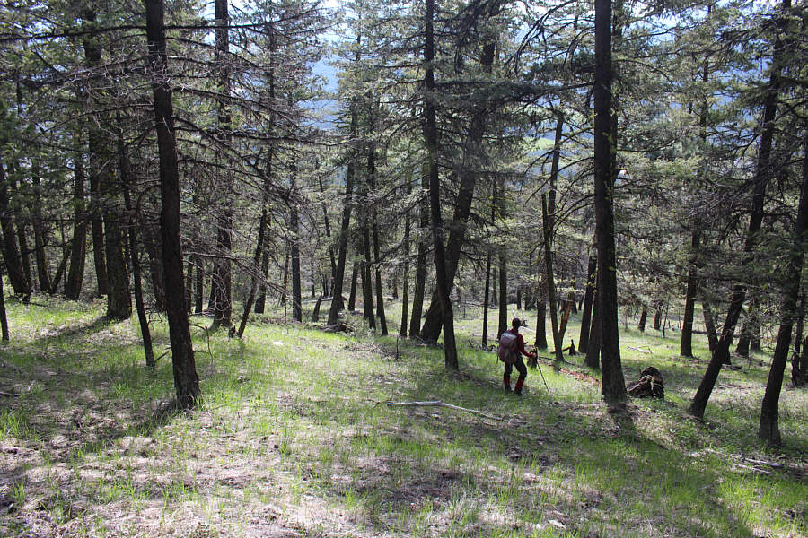 Some steep sections here and there but nothing too tough.