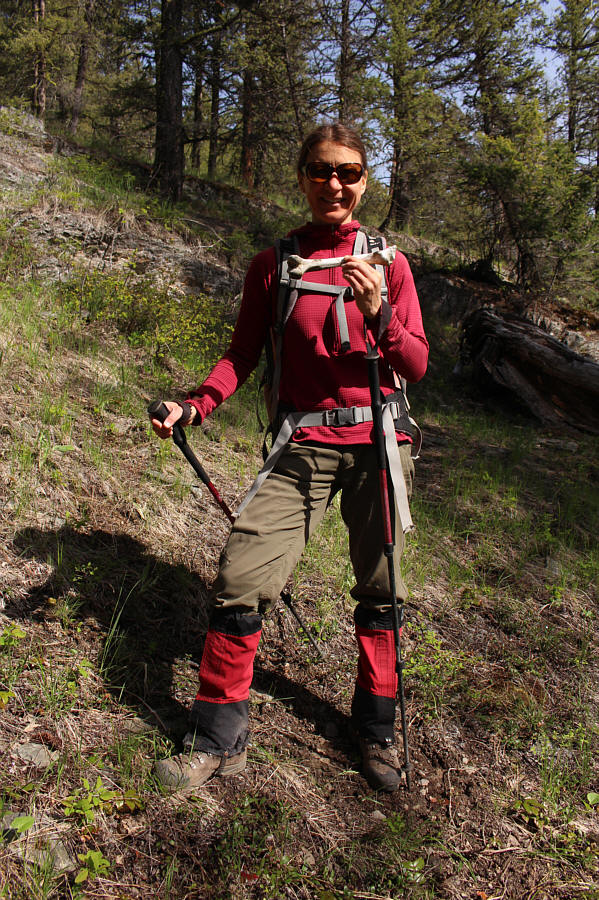 That's a nice doggy bone!