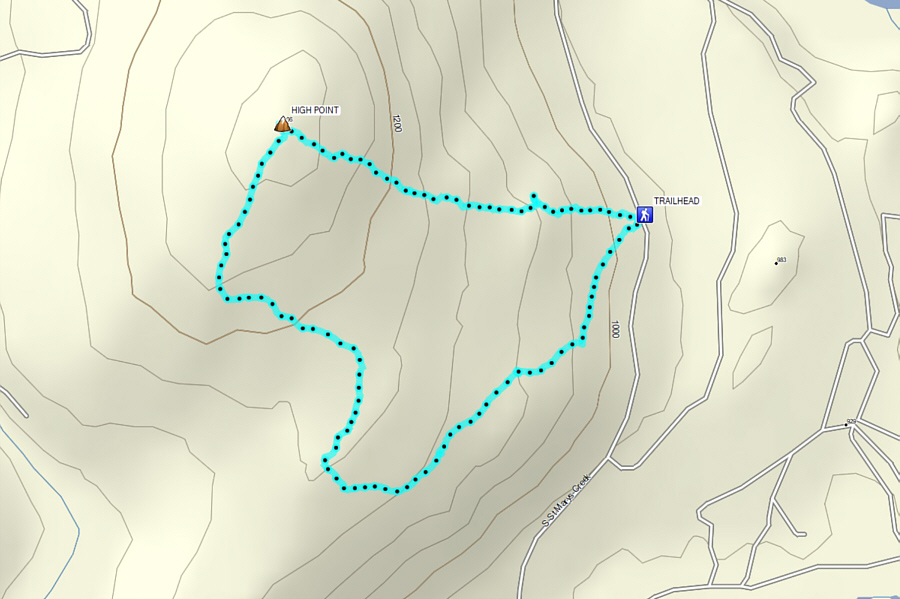 Playing disc golf at Wycliffe Regional Park is a better workout and more scenic too!