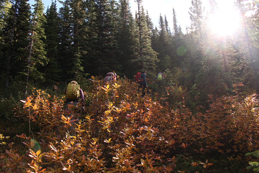 Bushwhacking is always more fun with big groups!