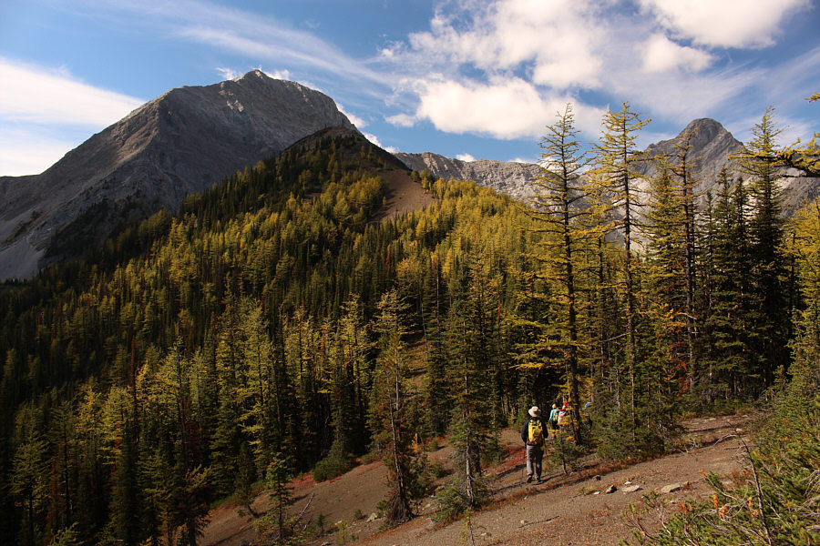 Looks good enough to be a separate summit!