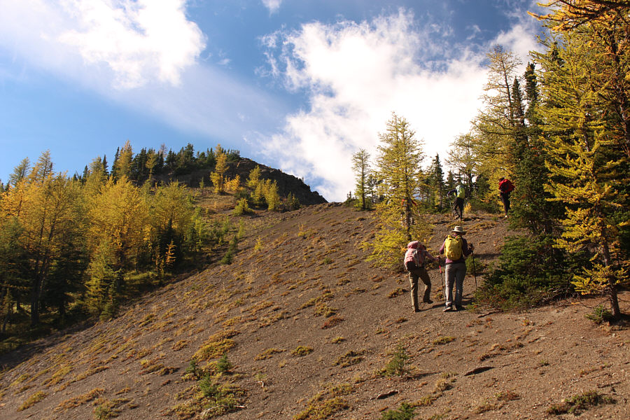 Peak-baggers are really push-y people!