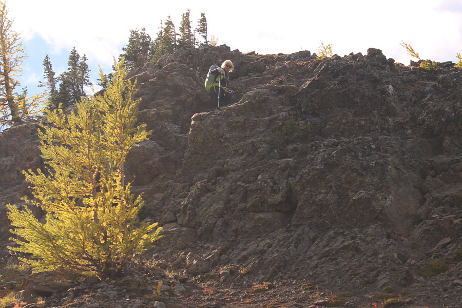 Can easily be circumvented to climber's left, but what fun would that be?