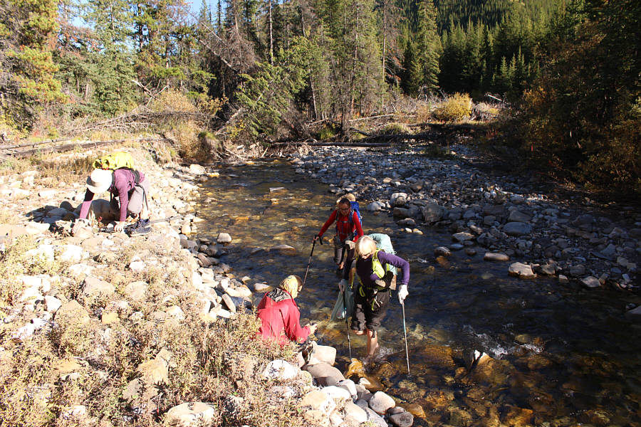I managed to cross the creek on a mess of logs in the background...barely!