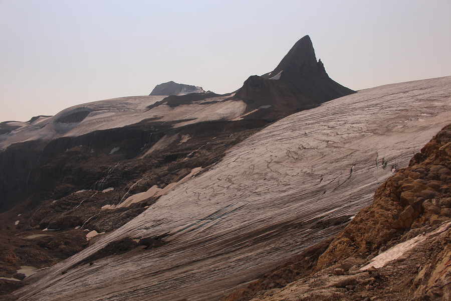 Cue the theme from "JAWS"!