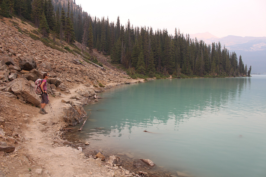 Time to start thinking about what's for dinner...