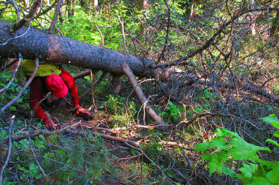 Somebody needs to bring a chainsaw...