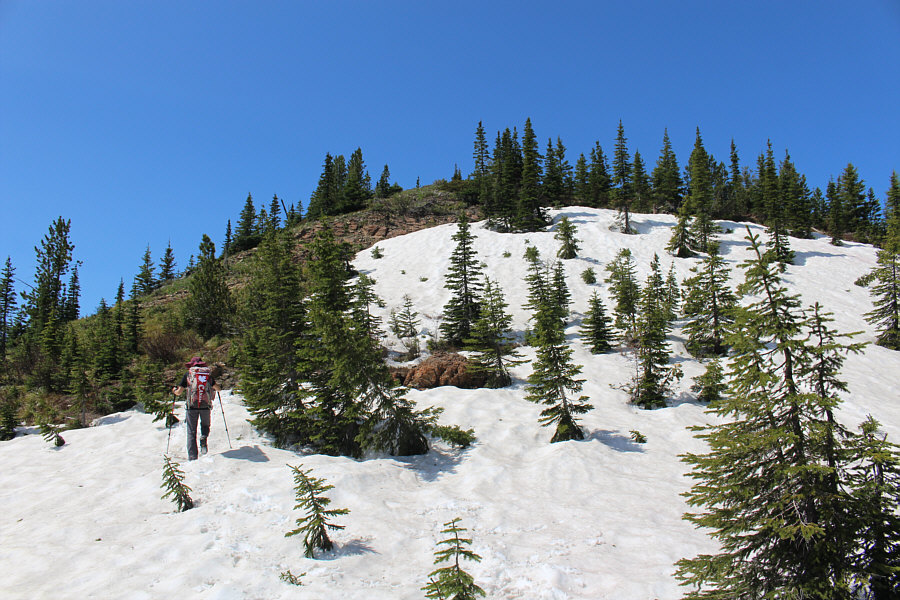 The snow was almost good enough to ski!