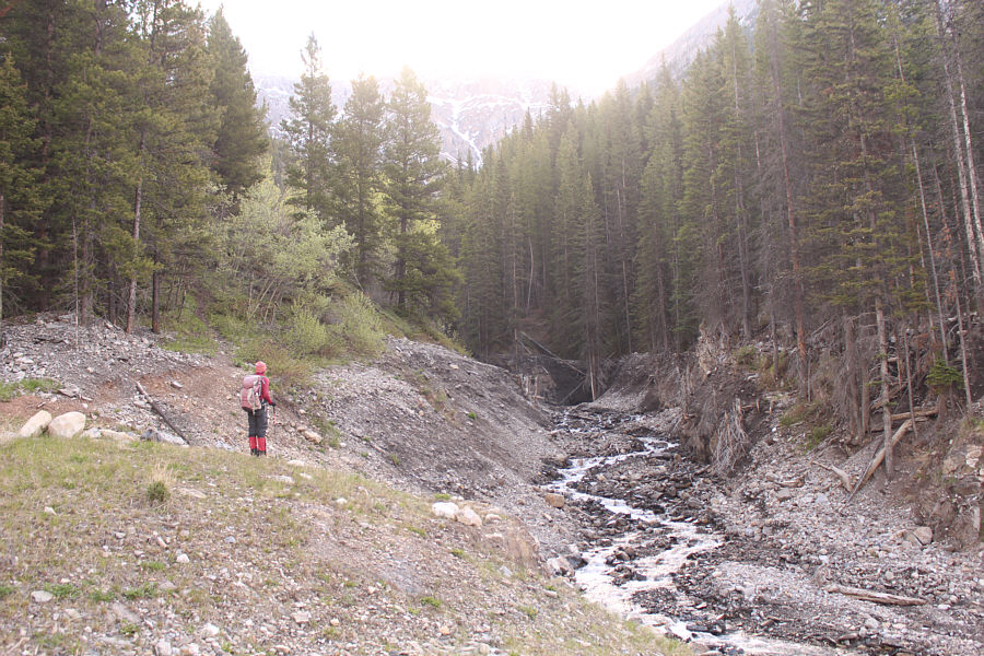 Starting to sweat already!