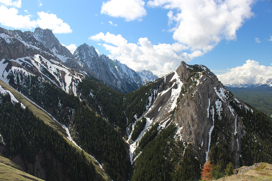 I should hike King Creek Ridge again one of these days...