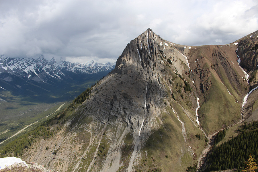 Another Kane Classic!