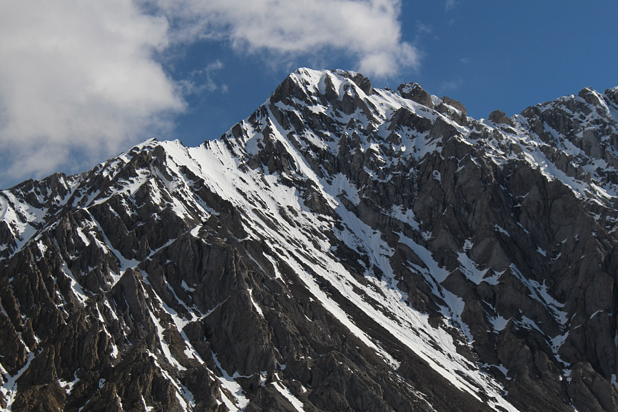 Definitely not in shape for scrambling just yet!