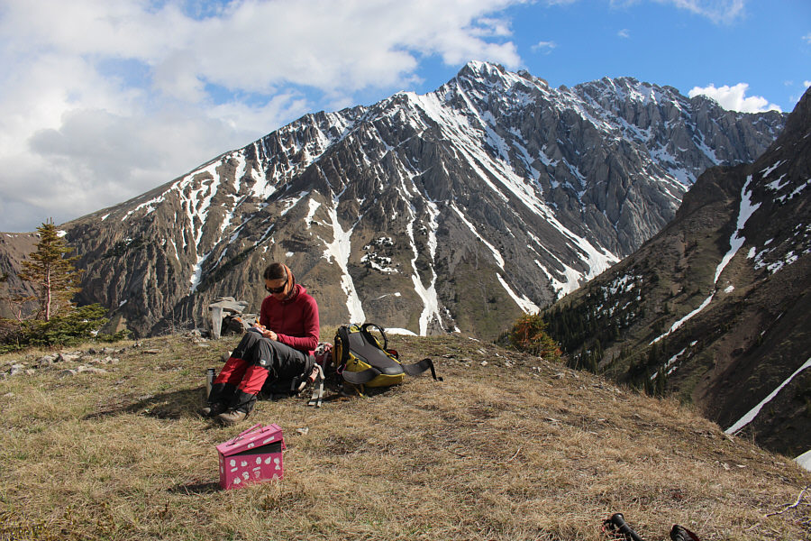 The register included a baseball, some whiskey, and a condom...unused!