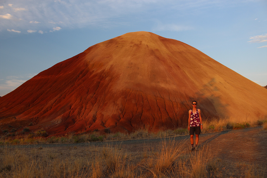 Looks like the Horta from Star Trek TOS!