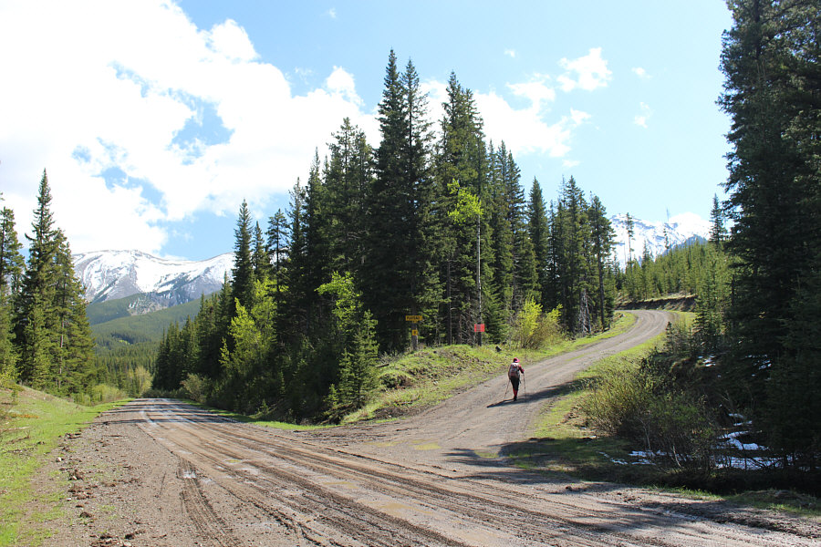 I took the one less traveled by, And that has made all the difference.