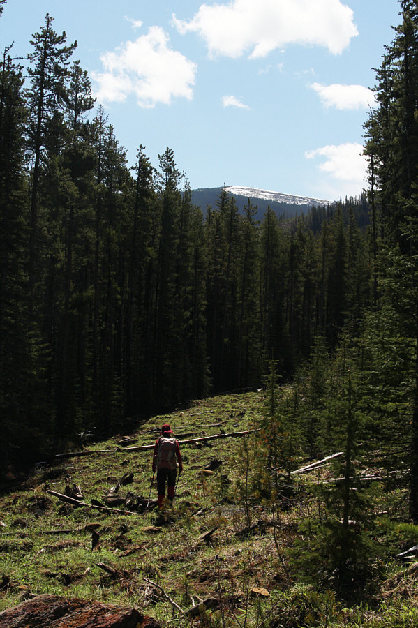 Lots of grief between here and there...