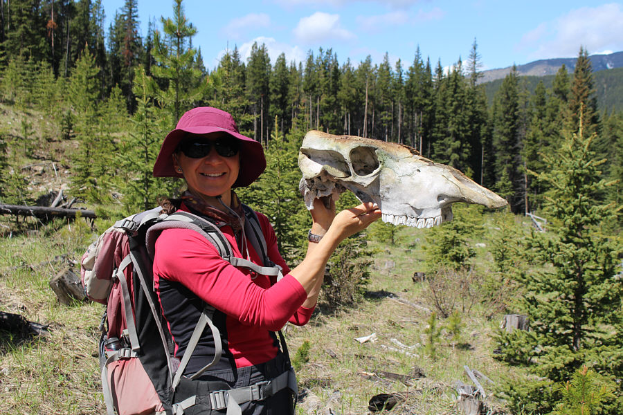 Zosia is the dead-thing finder!