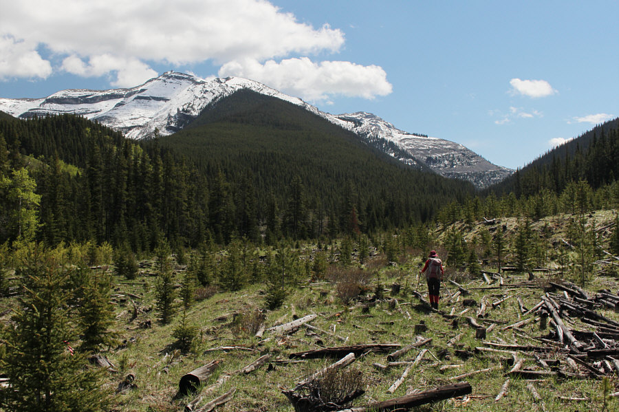 The slash can be rather tedious to walk through.